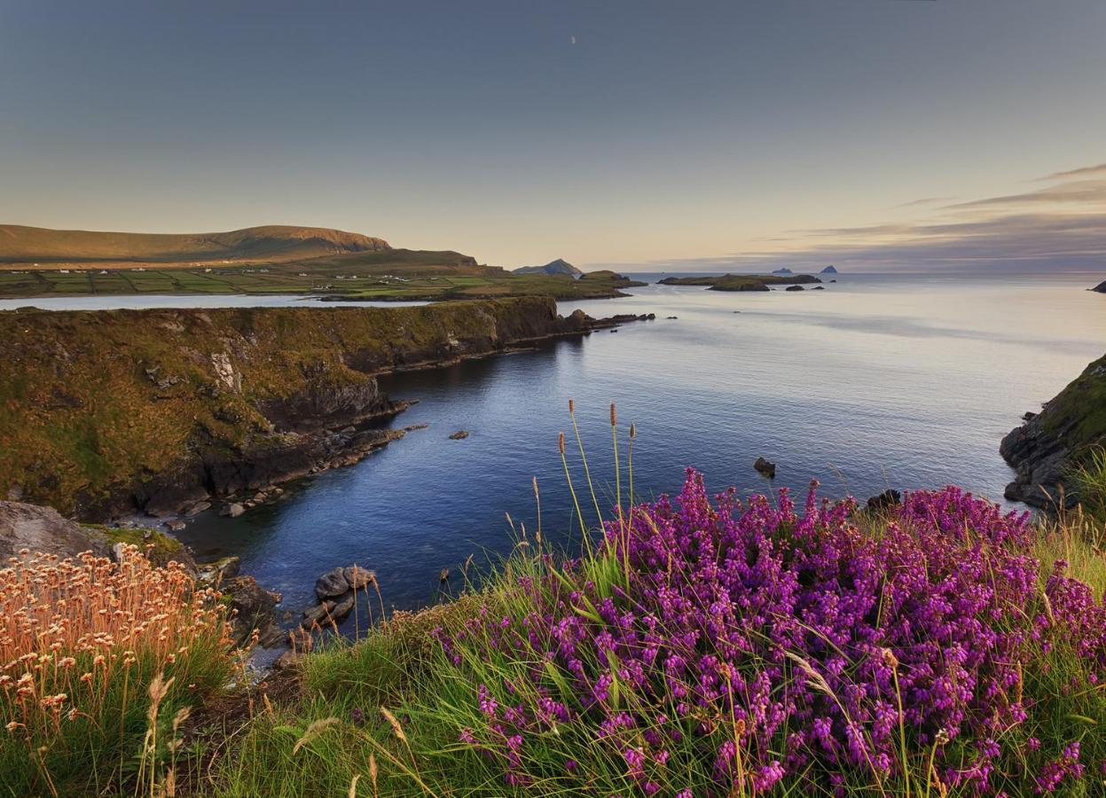 Tralee Townhouse Holiday Home By Trident Holiday Homes Dış mekan fotoğraf